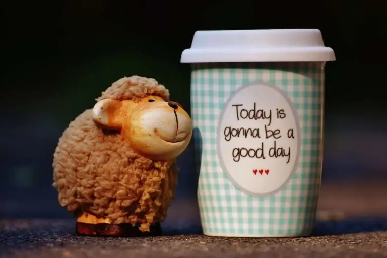 Sheep figurine next to motivational coffee cup.